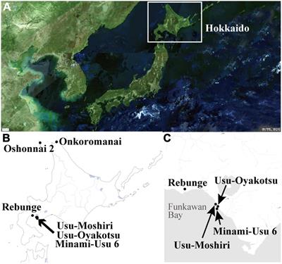 Starch granules from human teeth: New clues on the Epi-Jomon diet